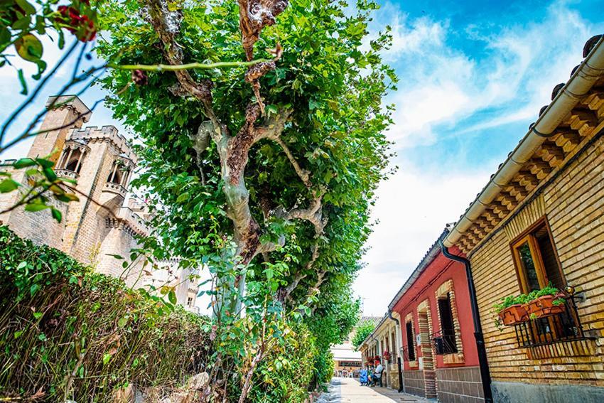 Ferienwohnung La Casa De La Abuela Olite Exterior foto